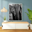 Quadro Decorativo com Madeira Elefante - Londrinorte Molduras