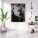 Quadro Decorativo com Moldura 50x70 para Sala Imagem Leão - Londrinorte Molduras