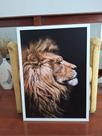 Quadro Decorativo com Moldura 50x70 para Sala Leão - Londrinorte