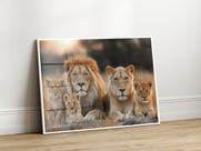 Quadro Decorativo com Moldura Acrilico Cristal Luxo Vidro Familia Leao Leoa 3 Filhotes para Sala de Estar, Quarto e Escritório, Hall Horizontal
