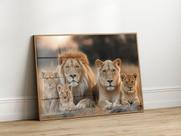 Quadro Decorativo com Moldura Acrilico Cristal Luxo Vidro Familia Leao Leoa 3 Filhotes para Sala de Estar, Quarto e Escritório, Hall Horizontal Quadro Decorativo com Moldura Acrilico Cristal Luxo Vidro Familia Leao Leoa 3 Filhotes para Sala de Estar, Quarto e Escritório, Hall Horizontal