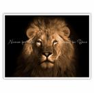 Quadro Decorativo com Moldura de Madeira 90x60 Leão Frase Motivacional Nunca Foi Sorte Sempre Foi Deus Grande para Sala Quarto Escritório