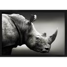 Quadro Decorativo com Moldura e Impressão em Vidro Animais Rinoceronte Preto e Branco Quadro Decorativo com Moldura e Impressão em Vidro Animais Rinoceronte Preto e Branco