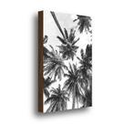 Quadro Decorativo Coqueiros Preto E Branco 40x60cm