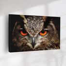 Quadro Decorativo Coruja