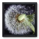 Quadro Decorativo - Dente-de-Leão - 33cm x 33cm - 342qddp