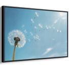 Quadro decorativo Dente de Leão em Fragmentos de Sonhos - Art Canvas Quadro decorativo Dente de Leão em Fragmentos de Sonhos - Art Canvas