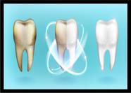 Quadro Decorativo Dentista Consultórios Odontológicos Tratamento Dentário Com Moldura RC023 Quadro Decorativo Dentista Consultórios Odontológicos Tratamento Dentário Com Moldura RC023