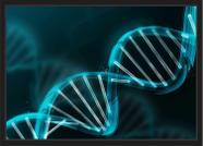 Quadro Decorativo Dna Biologia Medicina Farmácia Decorações Com Moldura