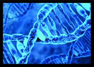 Quadro Decorativo Dna Biologia Medicina Farmácia Decorações Com Moldura