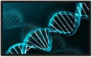 Quadro Decorativo DNA Ciências Biologia Medicina Com Moldura