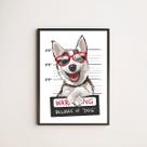 Quadro Decorativo Dog Prisioneiro 24x18cm Quadro Decorativo Dog Prisioneiro 24x18cm