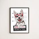 Quadro Decorativo Dog Prisioneiro 33x24cm - com vidro Quadro Decorativo Dog Prisioneiro 33x24cm - com vidro