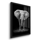 Quadro Decorativo Elefante 45x33 C/Vidro