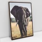 Quadro Decorativo Elefante Caminhando em tela Canvas