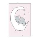 Quadro Decorativo Elefante Deitado na Lua 30x20 Mdf Adesivado