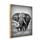 Quadro Decorativo Elefante P&B
