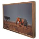 Quadro Decorativo Elefantena Savana em Moldura Caixa