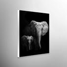Quadro Decorativo Elephant P&B