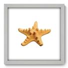 Quadro Decorativo - Estrela do Mar - 33cm x 33cm - 039qdkb Quadro Decorativo - Estrela do Mar - 33cm x 33cm - 039qdkb