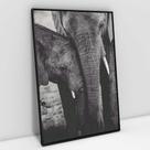 Quadro Decorativo Família Elefante em tela Canvas