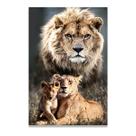 Quadro Decorativo Família Leão 1 filhote 60x90 Colorido