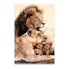 Quadro Decorativo Família Leão 60x90 4 filhotes