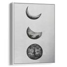 Quadro decorativo Fases da Lua em Desenho Minimalista - Art Canvas