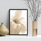 Quadro Decorativo Flor Bege Fundo Branco 24x18cm
