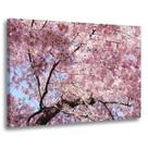 Quadro Decorativo Flor Cerejeira Árvore Decoração Quarto Sala Escritório Tela Canvas Grande
