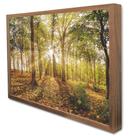Quadro Decorativo Floral Floresta na Luz do Sol em Moldura Caixa