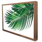 Quadro Decorativo Floral Folha Palmada Verde em Moldura Caixa Quadro Decorativo Floral Folha Palmada Verde em Moldura Caixa