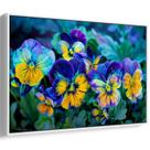 Quadro decorativo Flores - Amor Perfeito Azuis e Amarelas em Harmonia - Art Canvas