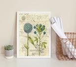 Quadro Decorativo Flores Azuis- Botânica Retrô 24x18cm - com vidro Quadro Decorativo Flores Azuis- Botânica Retrô 24x18cm - com vidro
