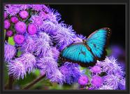Quadro Decorativo Flores Borboleta Decoração Com Moldura