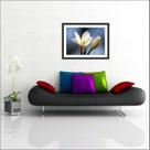 Quadro Decorativo Flores Branca Salas Decorações Com Moldura