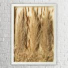 Quadro Decorativo Flores Desidratadas 30x42