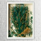 Quadro Decorativo Flores Desidratadas Pinterest Sala 30x42 Quadro Decorativo Flores Desidratadas Pinterest Sala 30x42