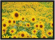 Quadro Decorativo Flores Girassóis Paisagem Natureza Decorações Com Moldura G01
