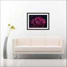 Quadro Decorativo Flores Rosa Salas Decorações Com Moldura