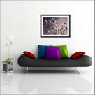 Quadro Decorativo Flores Salas Decorações Com Moldura