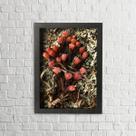 Quadro Decorativo Flores Secas Arapuama 21x30