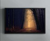 Quadro Decorativo Floresta Feixe De Luz Paisagem Natureza Salas Tela Canvas Premium