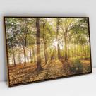 Quadro Decorativo Floresta na Luz do Sul em tela Canvas