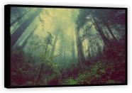 Quadro Decorativo Floresta Névoa Árvores Sol Paisagem Natureza Salas Tela Canvas Premium GG Quadro Decorativo Floresta Névoa Árvores Sol Paisagem Natureza Salas Tela Canvas Premium GG