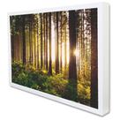 Quadro Decorativo Floresta Sobre a Luz do Sol em Moldura Caixa