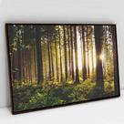 Quadro Decorativo Floresta Sobre a Luz do Sol em tela Canvas