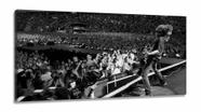 Quadro decorativo Foo Fighters Show - em Tecido Canvas 130x60