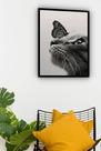 Quadro Decorativo Foto Borboleta Nariz Gato - 70x50cm