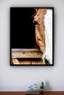 Quadro Decorativo Foto Face Cavalo Marrom - 70x50cm